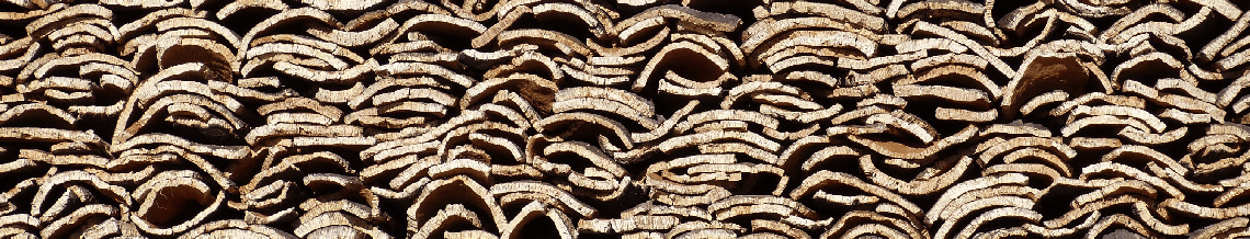 Cork