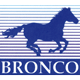 Bronco Model