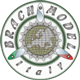 Brach Model