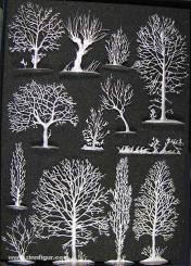 Sortiment: Bäume und Sträucher (Winter) 