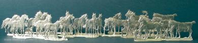 Horses, unsattled 