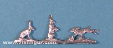 3 small rabbits 