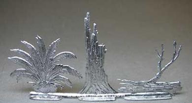 Cycadeoidea and Tree stumps 