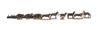 Wolf, wolf pack 