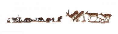 Wildlife in North America 