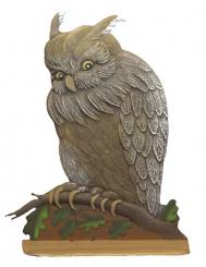 Owl, painted on both sides 