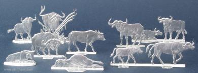Caffalo buffalo 