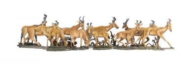 Impalas and Hartebeeste 