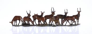 Waterbucks and gazelles 