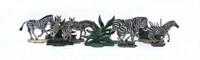 Zebras, migrating 