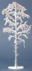Pine (Pinus sylvestris) 