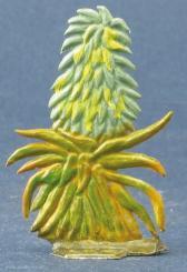 Lobelia deccenii 