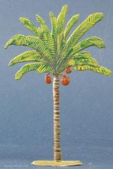 Coconut palm 