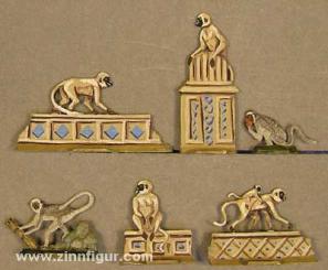 Singes Hulman (singes du temple) 