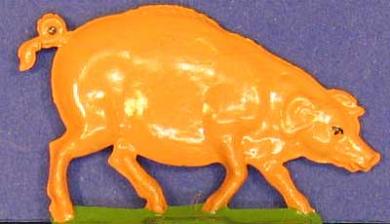 Porc, porc domestique 