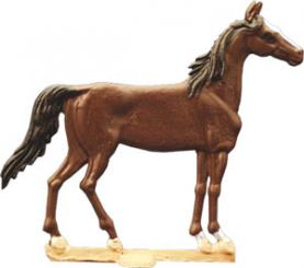 Pferd 