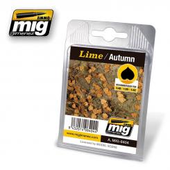 Lime Tree Leaves - Autumn 