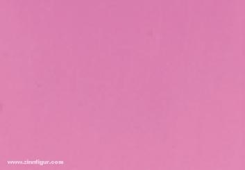 Squid Pink 