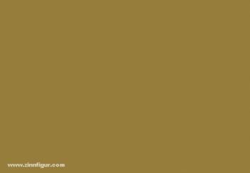 Desert Yellow 