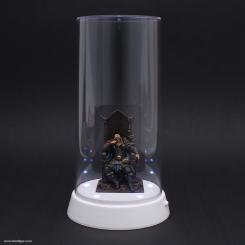 Display with LED Lights 84x185mm 