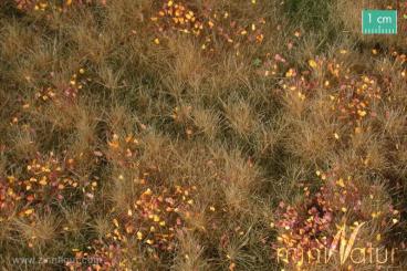 Floodplain Meadow with Weeds, Late autumn 