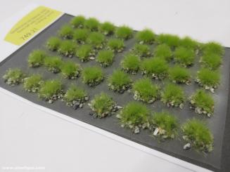 Tufts of grass with stones - light - spring 