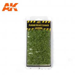 PLATANE FOLIAGE SUMMER 