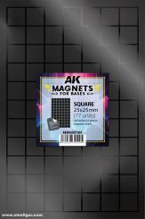 Aimants carrés 25 x 25 mm (77 pièces) 