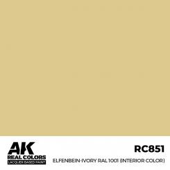 Elfenbein- Ivory RAL 1001 (Interior Color) 