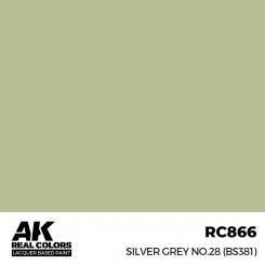 Silver Grey No. 28 (BS381) 