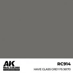 Have Glass Grey FS 36170 