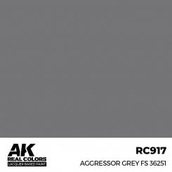 Aggressor Grey FS 36251 