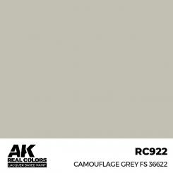 Camouflage Grey FS 36622 