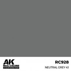 Neutral Grey 43 