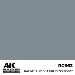 RAF Medium Sea Grey BS381C/637 