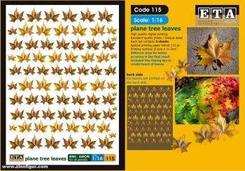 feuilles de platane, automne 
