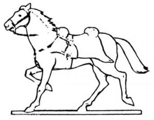 Pferd im Galopp 
