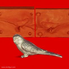 Perruche ondulée (oiseau) 