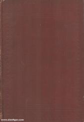 Hoenig, Fritz: Der Volkskrieg an der Loire im Herbst 1870. Band 6: Die entscheidenden Tage von Orleans 