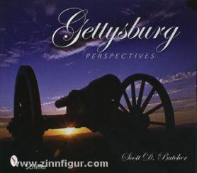 Butcher, S. D.: Gettysburg Perspective 