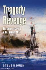 Dunn, Steve R.: Tragedy and Revenge 