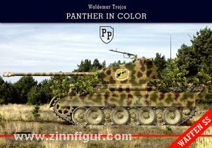 Trojca Panther and Jagdpanther in Color Modellbau Panzer Tank