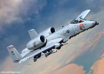 A-10C Thunderbolt II "Nose Art" 