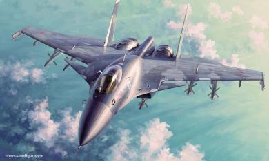 Su-33 Flanker-D 