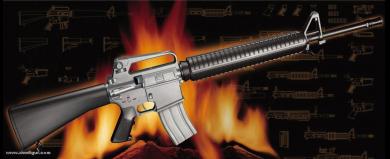 AR15/M16/M4 