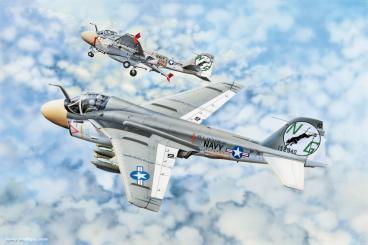 A-6A Intruder 