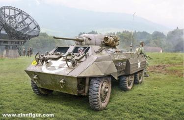 M8 Lévrier 