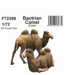 Bactrian Camels (2 pcs) 