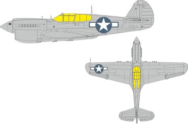 P-40N - US Hoheitsabzeichen 