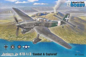 Ju 87D-1/3 "Combat & Captured" 